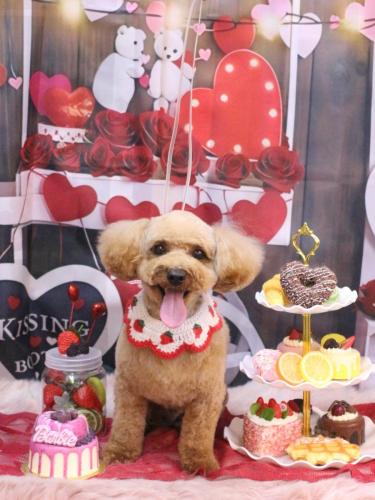 20250228シェリーくん